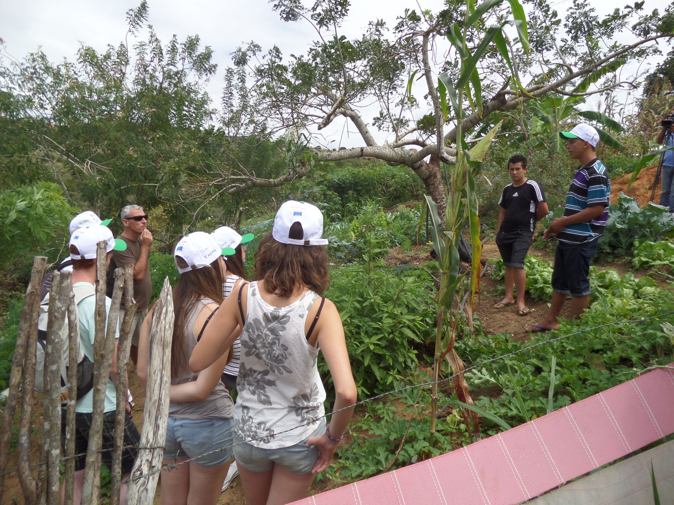 Centrac Visitantes Franceses Conhecem Experi Ncia De Jovem Agricultor