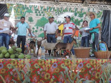 Entrega Simbolica FRS Animais (5)